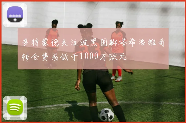 多特蒙德关注波黑国脚塔希洛维奇转会费或低于1000万欧元